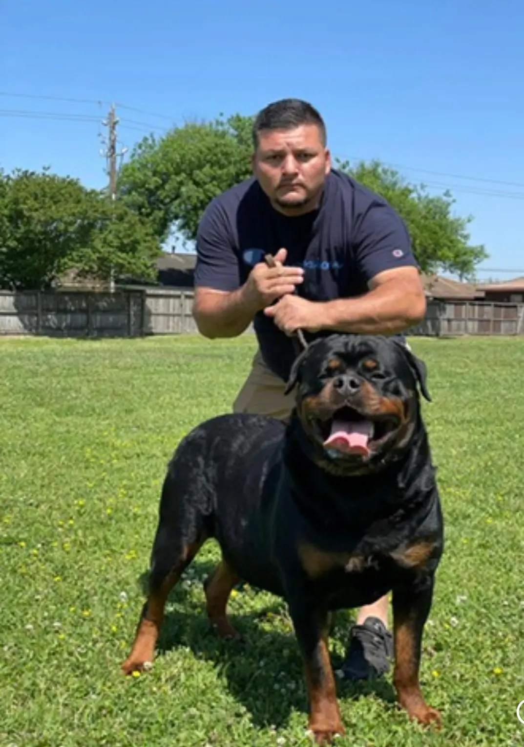 Dog training photo