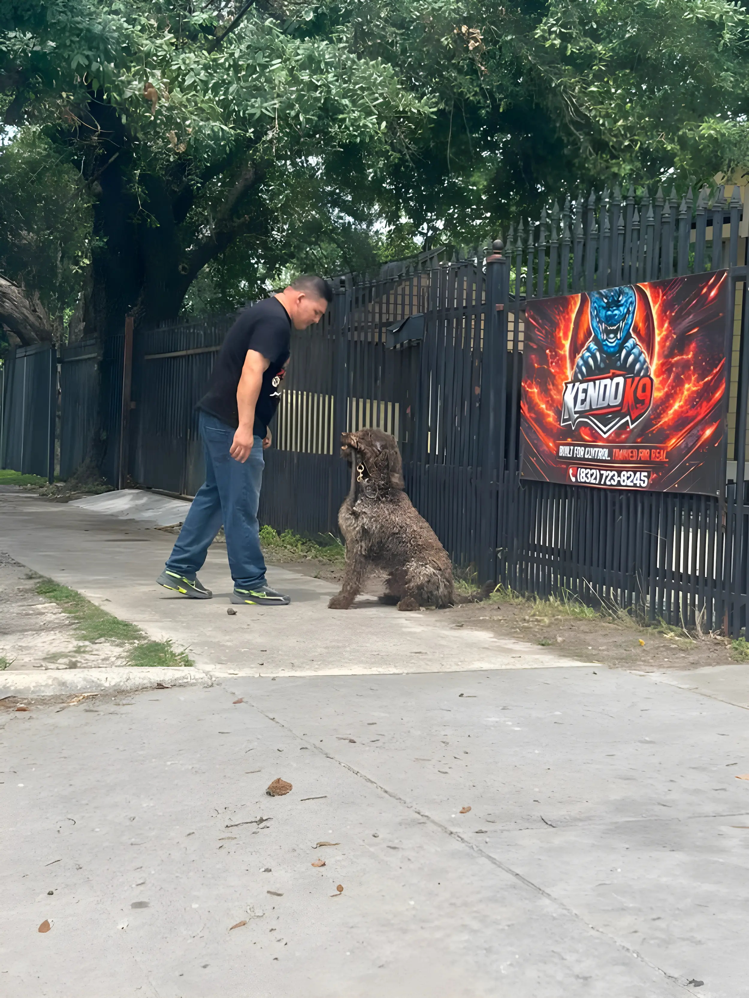 Dog training photo
